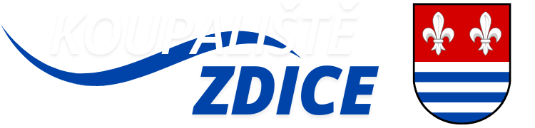 Primary Raster logo